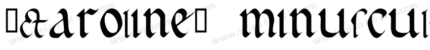 (Caroline) minuscule字体转换